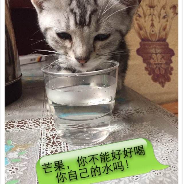 存款证明活期能取吗
